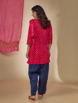 Pink & Blue Silk Hand Embroidered Pant Set